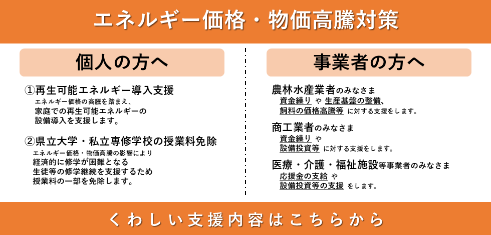 エネルギー価格・物価高騰対策_支援策はこちら